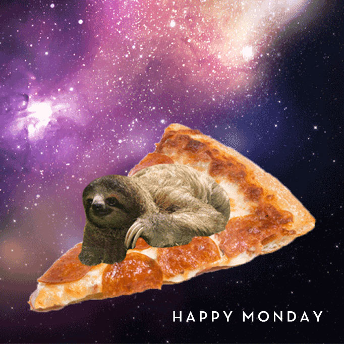 pizza-sloth